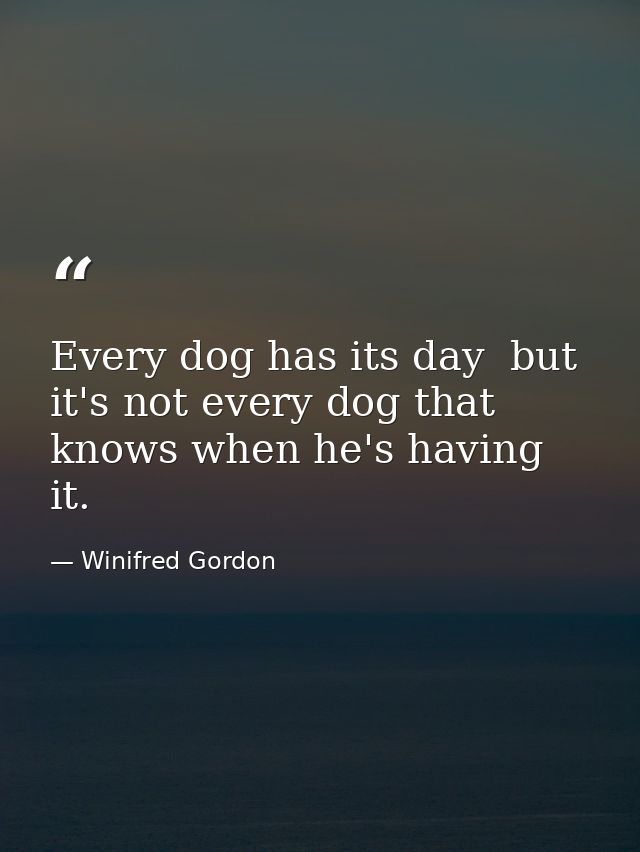Every dog has its day  but it's not every dog that knows when he's having it. — Winifred Gordon