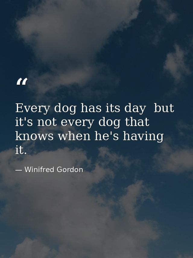 Every dog has its day  but it's not every dog that knows when he's having it. — Winifred Gordon