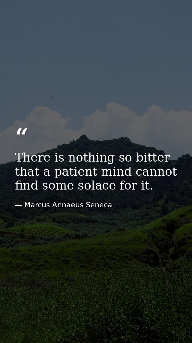 There is nothing so bitter that a patient mind cannot find some solace for it. — Marcus Annaeus Seneca