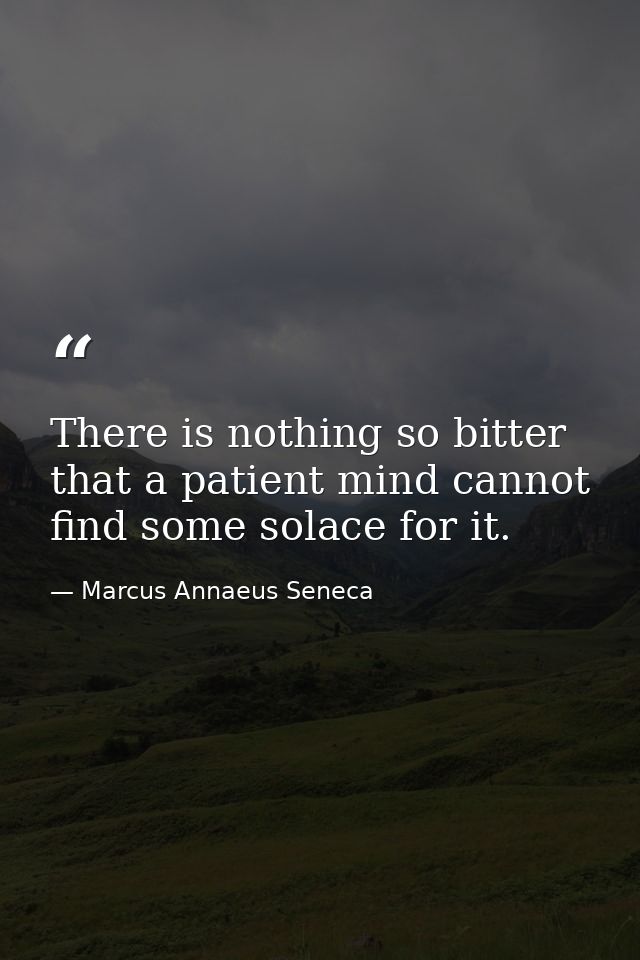 There is nothing so bitter that a patient mind cannot find some solace for it. — Marcus Annaeus Seneca