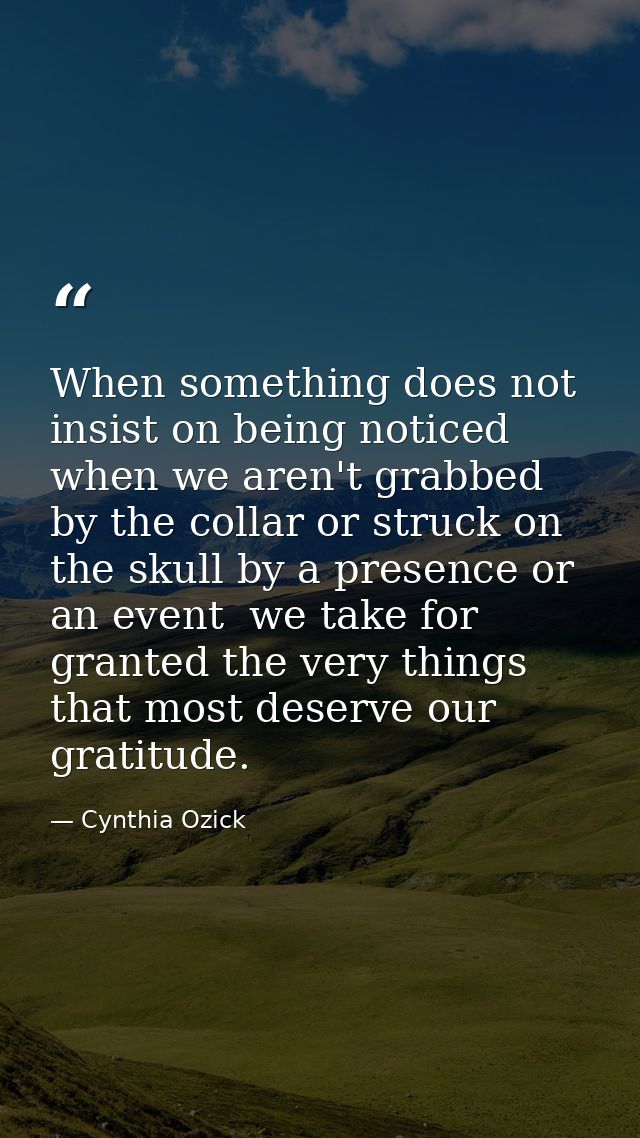 When something does not insist on being noticed  when we aren't grabbed by the collar or struck on the skull by a presen — Cynthia Ozick
