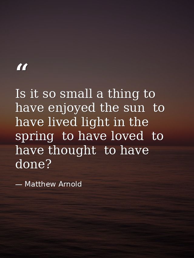 Is it so small a thing to have enjoyed the sun  to have lived light in the spring  to have loved  to have thought  to ha — Matthew Arnold