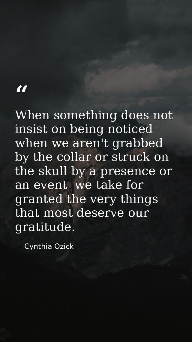 When something does not insist on being noticed  when we aren't grabbed by the collar or struck on the skull by a presen — Cynthia Ozick