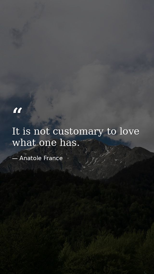 It is not customary to love what one has. — Anatole France