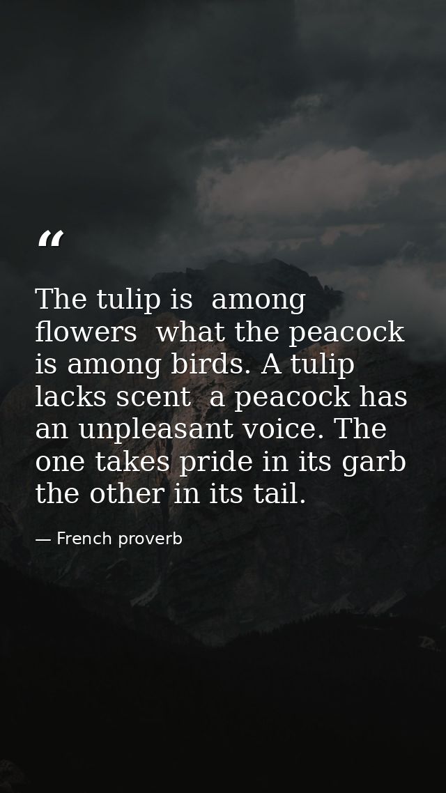 The tulip is  among flowers  what the peacock is among birds. A tulip lacks scent  a peacock has an unpleasant voice. Th — French proverb