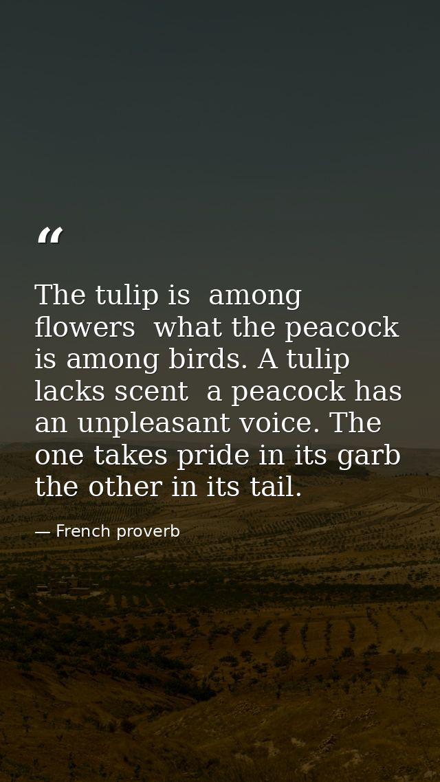 The tulip is  among flowers  what the peacock is among birds. A tulip lacks scent  a peacock has an unpleasant voice. Th — French proverb