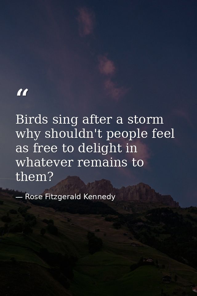 Birds sing after a storm  why shouldn't people feel as free to delight in whatever remains to them? — Rose Fitzgerald Kennedy