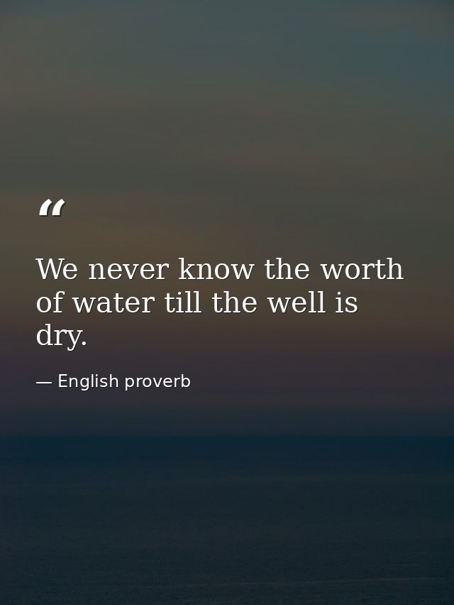 We never know the worth of water till the well is dry. — English proverb
