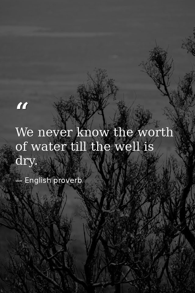 We never know the worth of water till the well is dry. — English proverb