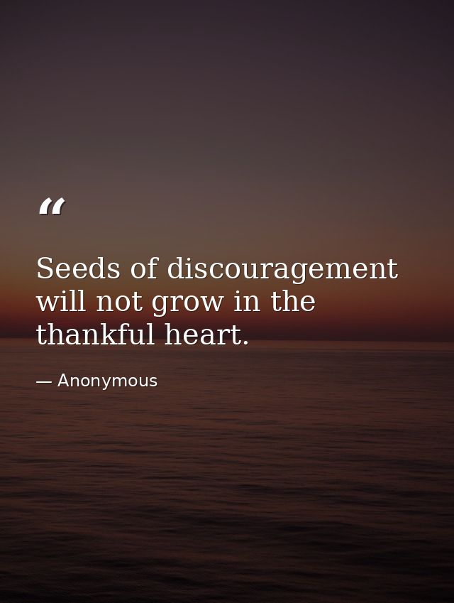 Seeds of discouragement will not grow in the thankful heart. — Anonymous