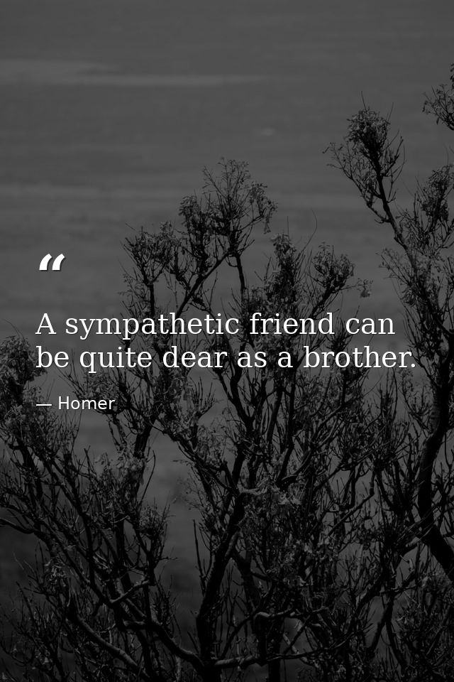 A sympathetic friend can be quite dear as a brother. — Homer