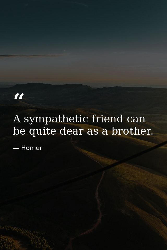 A sympathetic friend can be quite dear as a brother. — Homer