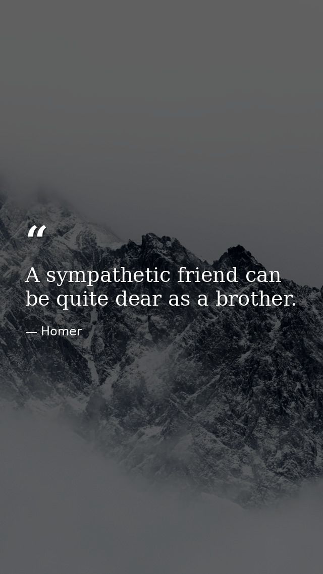 A sympathetic friend can be quite dear as a brother. — Homer