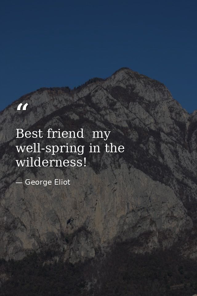 Best friend  my well-spring in the wilderness! — George Eliot