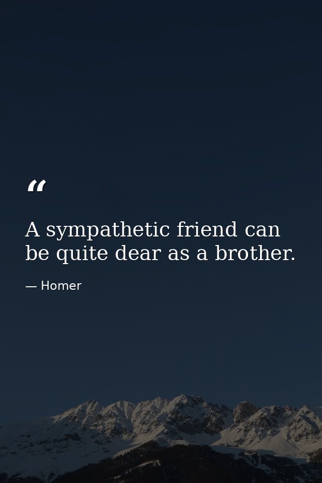 A sympathetic friend can be quite dear as a brother. — Homer