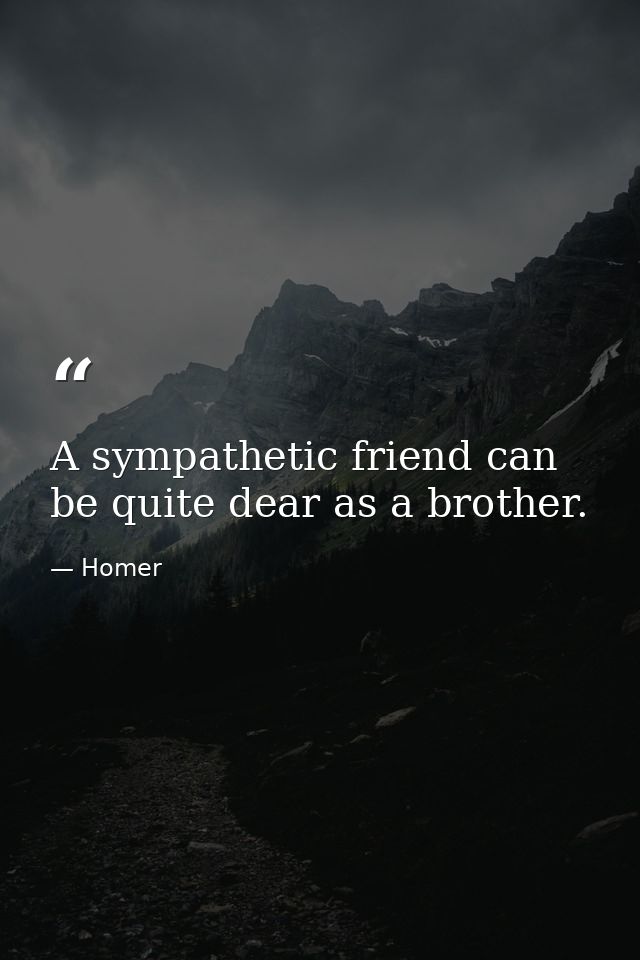 A sympathetic friend can be quite dear as a brother. — Homer