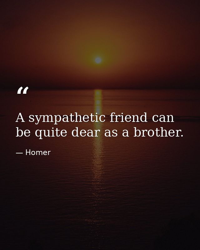 A sympathetic friend can be quite dear as a brother. — Homer