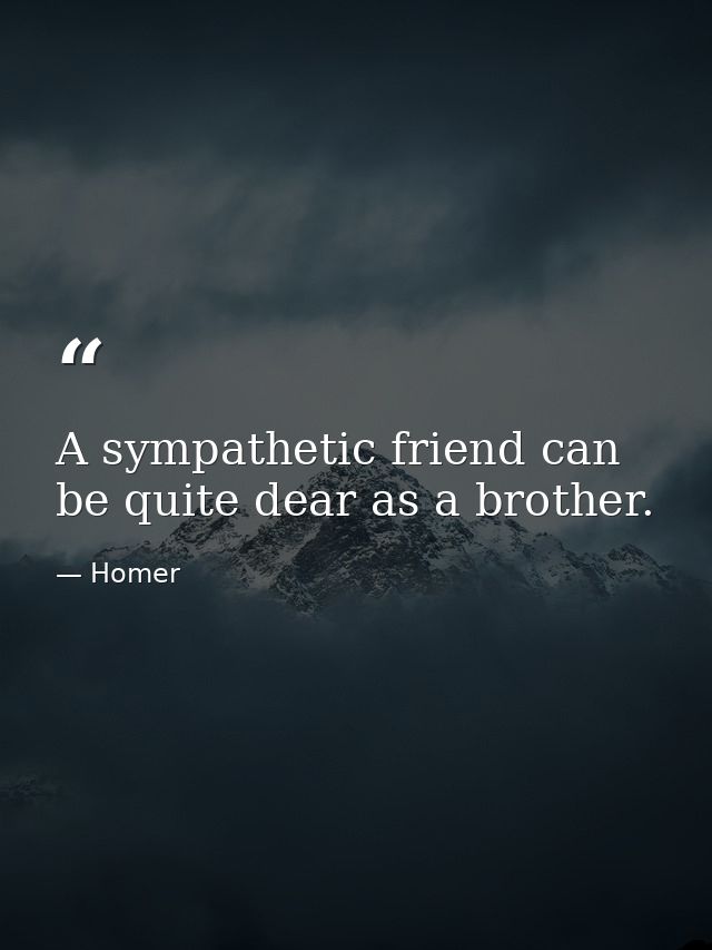A sympathetic friend can be quite dear as a brother. — Homer