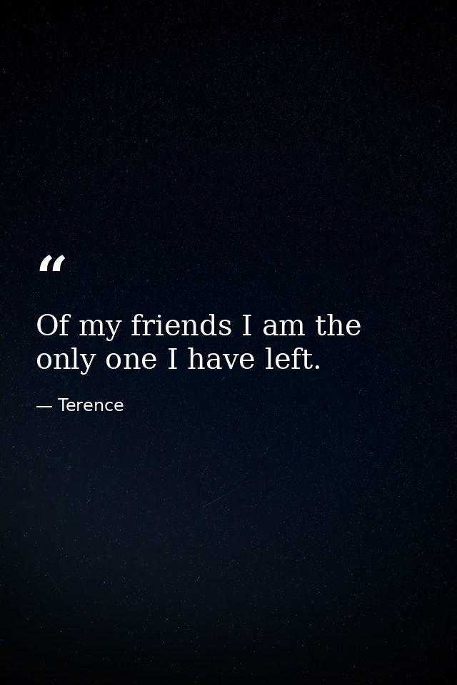 Of my friends I am the only one I have left. — Terence