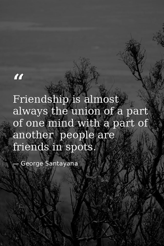 Friendship is almost always the union of a part of one mind with a part of another  people are friends in spots. — George Santayana