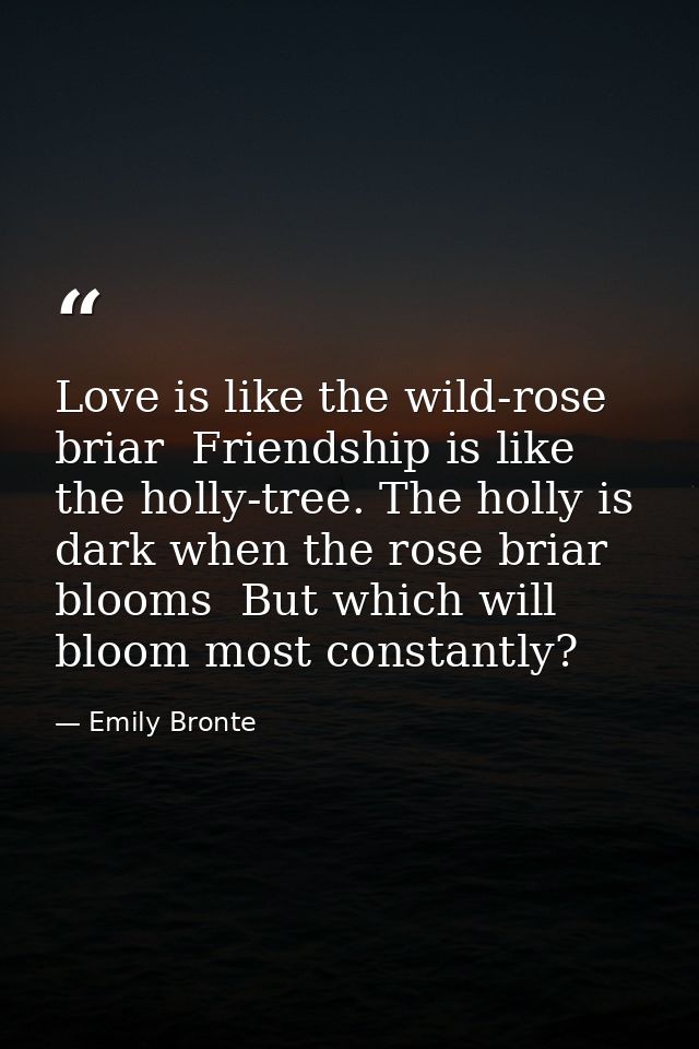 Love is like the wild-rose briar  Friendship is like the holly-tree. The holly is dark when the rose briar blooms  But w — Emily Bronte