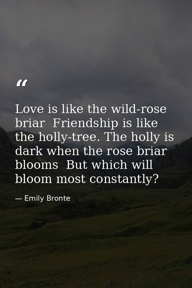 Love is like the wild-rose briar  Friendship is like the holly-tree. The holly is dark when the rose briar blooms  But w — Emily Bronte