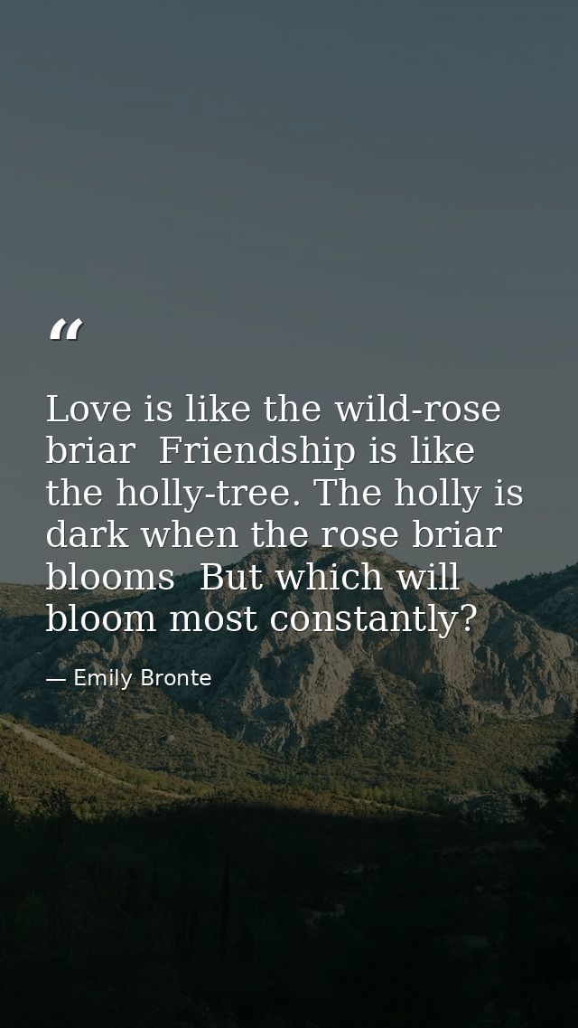 Love is like the wild-rose briar  Friendship is like the holly-tree. The holly is dark when the rose briar blooms  But w — Emily Bronte