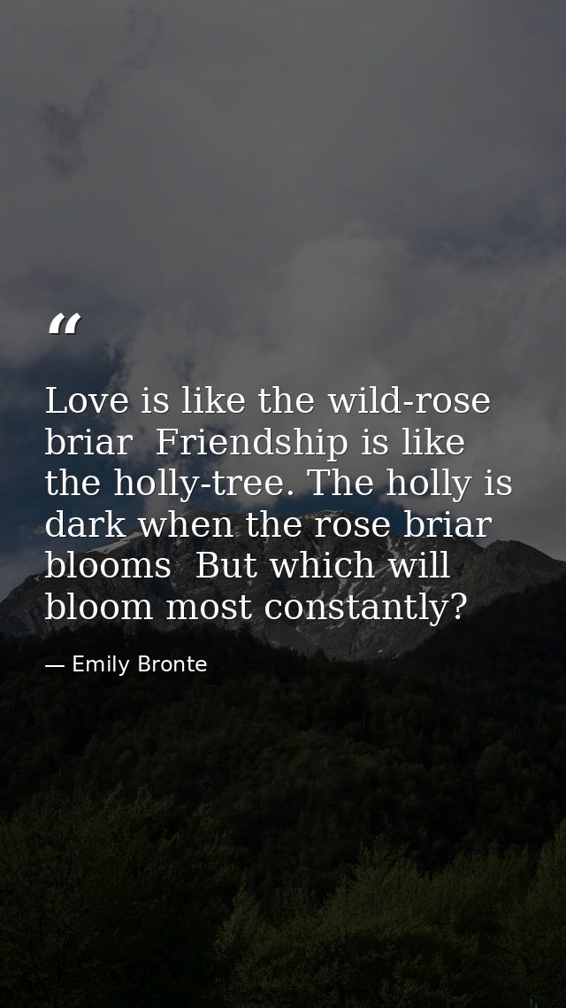 Love is like the wild-rose briar  Friendship is like the holly-tree. The holly is dark when the rose briar blooms  But w — Emily Bronte