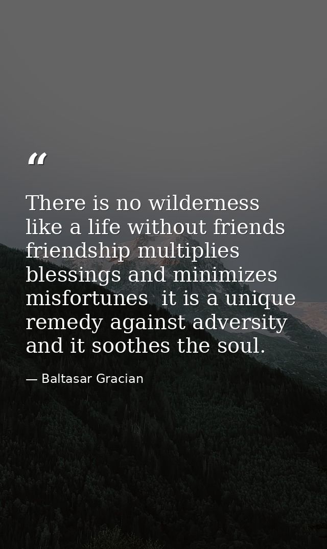 There is no wilderness like a life without friends  friendship multiplies blessings and minimizes misfortunes  it is a u — Baltasar Gracian