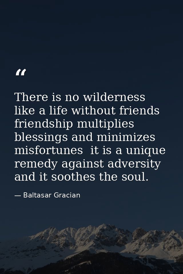There is no wilderness like a life without friends  friendship multiplies blessings and minimizes misfortunes  it is a u — Baltasar Gracian