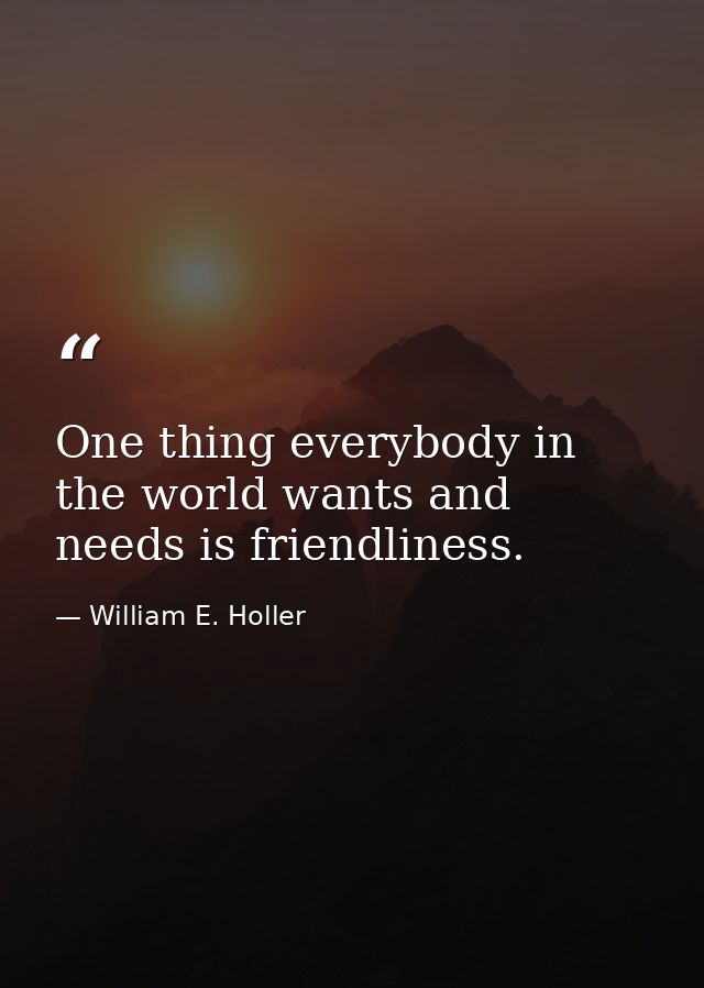 One thing everybody in the world wants and needs is friendliness. — William E. Holler