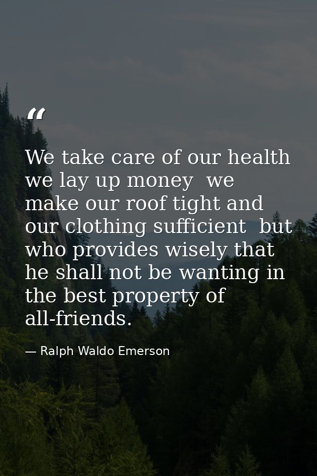 We take care of our health  we lay up money  we make our roof tight and our clothing sufficient  but who provides wisely — Ralph Waldo Emerson
