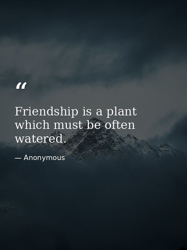 Friendship is a plant which must be often watered. — Anonymous
