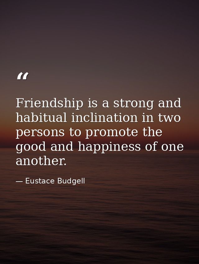 Friendship is a strong and habitual inclination in two persons to promote the good and happiness of one another. — Eustace Budgell