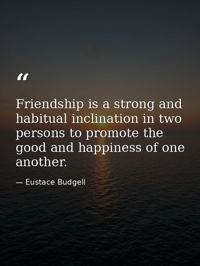 Friendship is a strong and habitual inclination in two persons to promote the good and happiness of one another. — Eustace Budgell
