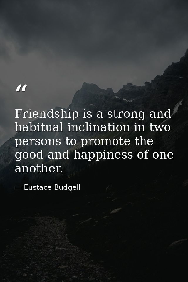 Friendship is a strong and habitual inclination in two persons to promote the good and happiness of one another. — Eustace Budgell
