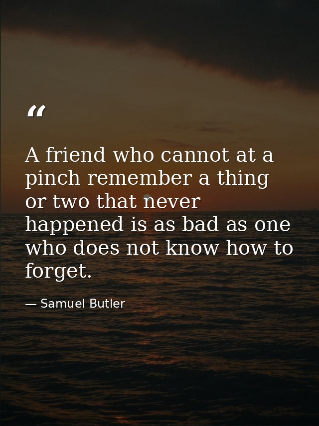 A friend who cannot at a pinch remember a thing or two that never happened is as bad as one who does not know how to for — Samuel Butler