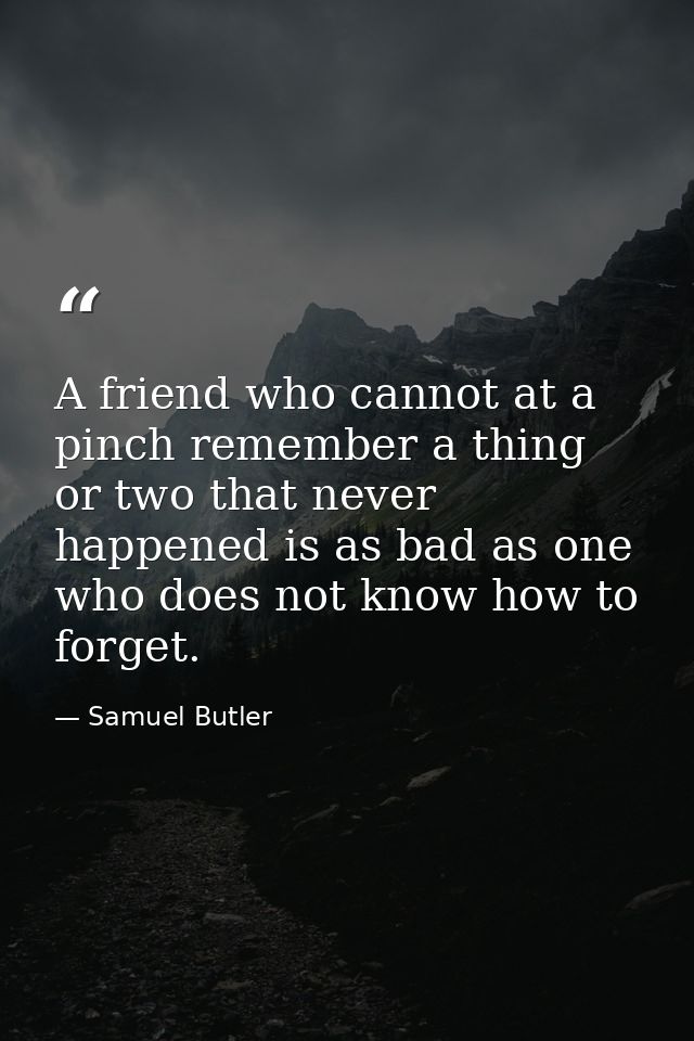 A friend who cannot at a pinch remember a thing or two that never happened is as bad as one who does not know how to for — Samuel Butler
