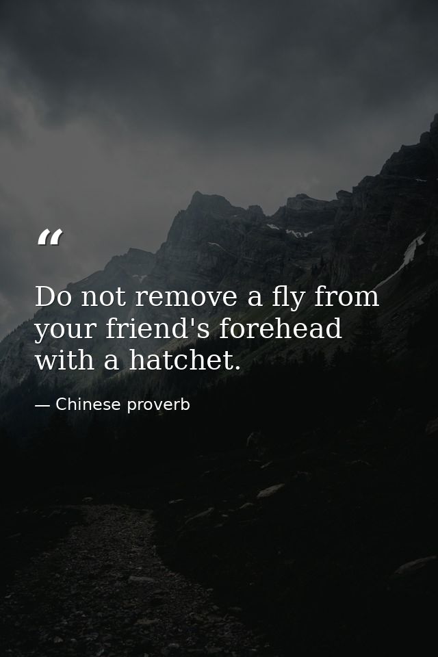 Do not remove a fly from your friend's forehead with a hatchet. — Chinese proverb