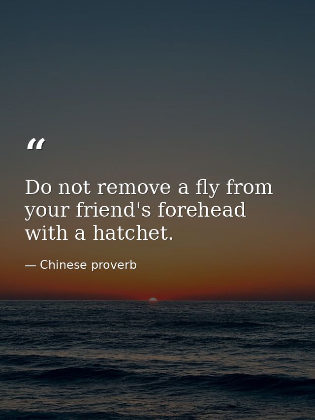 Do not remove a fly from your friend's forehead with a hatchet. — Chinese proverb