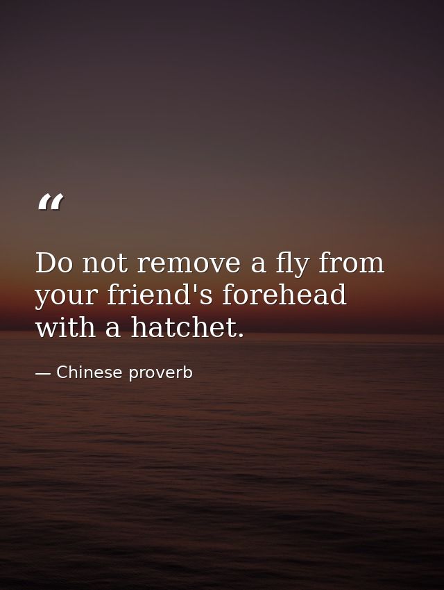 Do not remove a fly from your friend's forehead with a hatchet. — Chinese proverb