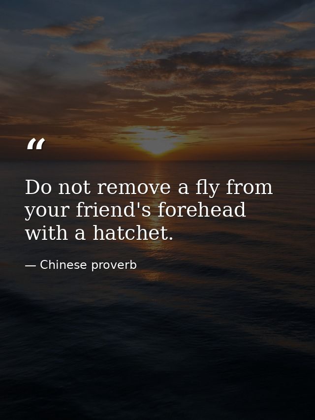 Do not remove a fly from your friend's forehead with a hatchet. — Chinese proverb
