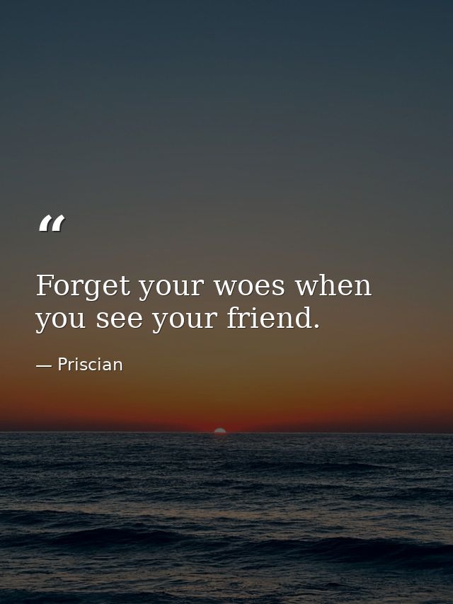 Forget your woes when you see your friend. — Priscian