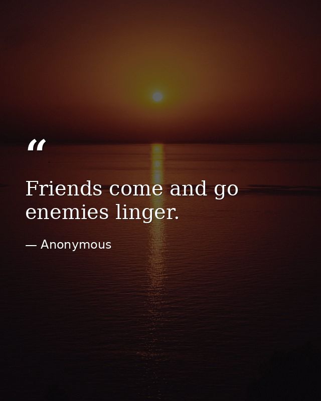Friends come and go  enemies linger. — Anonymous