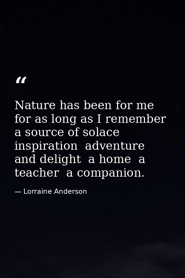 Nature has been for me  for as long as I remember  a source of solace  inspiration  adventure  and delight  a home  a te — Lorraine Anderson