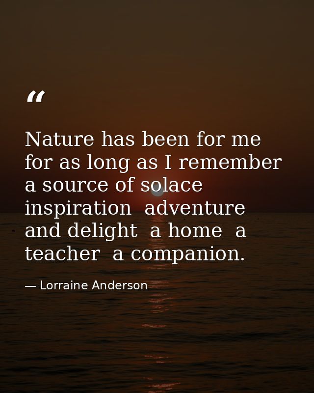 Nature has been for me  for as long as I remember  a source of solace  inspiration  adventure  and delight  a home  a te — Lorraine Anderson