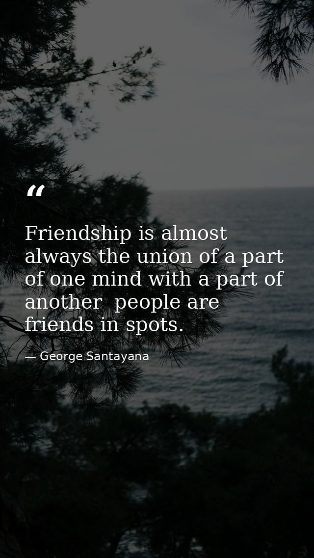 Friendship is almost always the union of a part of one mind with a part of another  people are friends in spots. — George Santayana