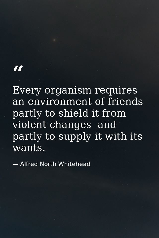 Every organism requires an environment of friends  partly to shield it from violent changes  and partly to supply it wit — Alfred North Whitehead