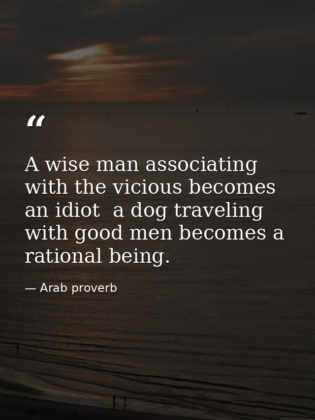A wise man associating with the vicious becomes an idiot  a dog traveling with good men becomes a rational being. — Arab proverb