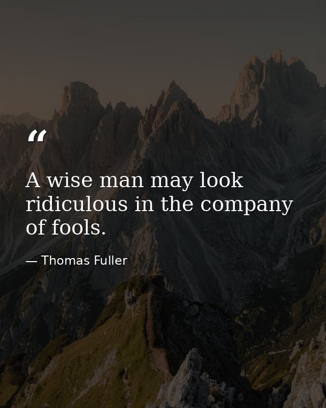A wise man may look ridiculous in the company of fools. — Thomas Fuller
